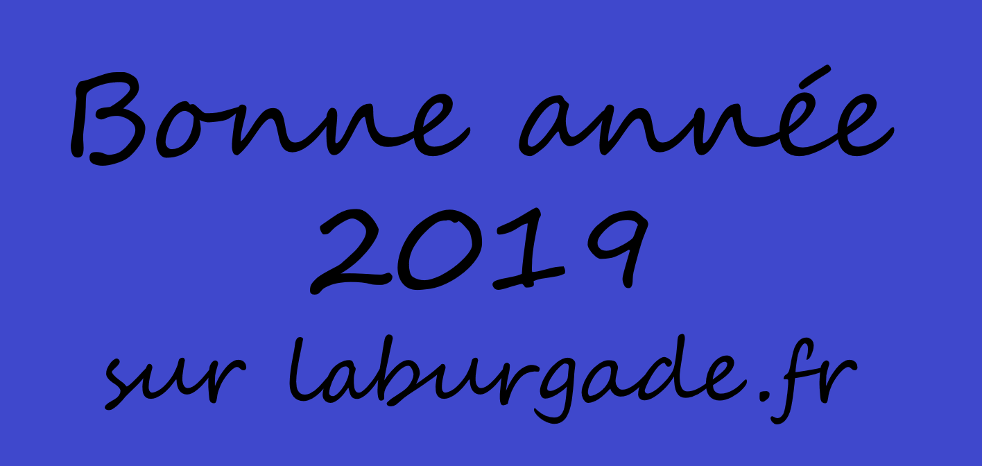 Voeux 2019 laburgade